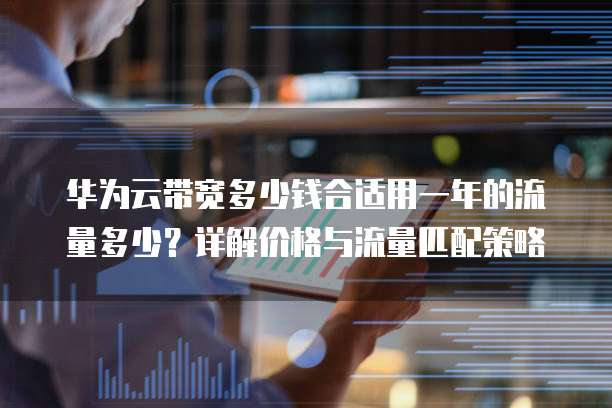 华为云带宽多少钱合适用一年的流量多少?详解价格与流量匹配策略