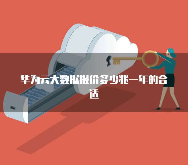 华为云大数据报价多少兆一年的合适