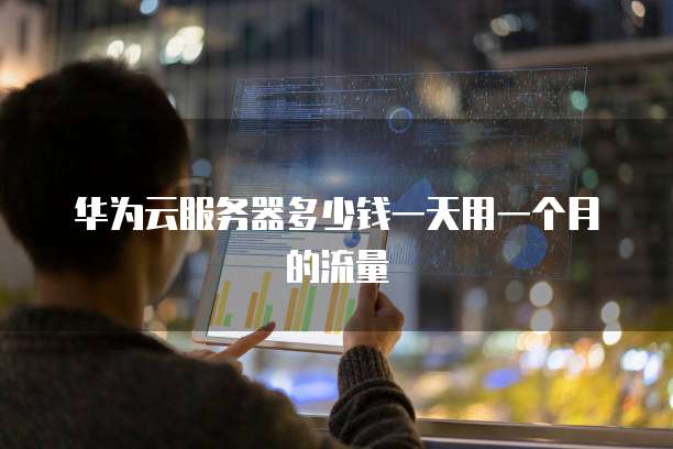 华为云服务器多少钱一天用一个月的流量
