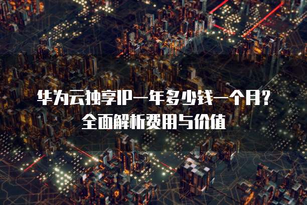 华为云独享IP一年多少钱一个月?全面解析费用与价值