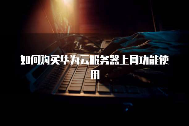 如何购买华为云服务器上网功能使用