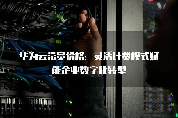 华为云带宽价格:灵活计费模式赋能企业数字化转型