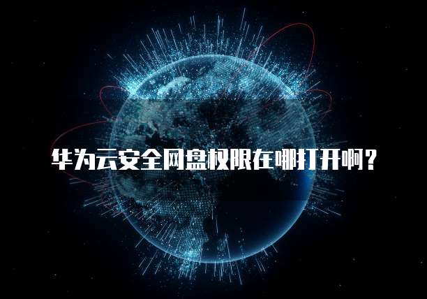 华为云安全网盘权限在哪打开啊?