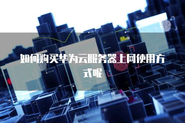 如何购买华为云服务器上网使用方式呢