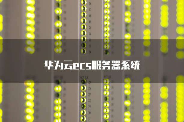 华为云ecs服务器系统
