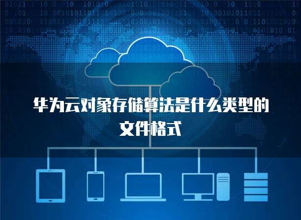 华为云对象存储算法是什么类型的文件格式