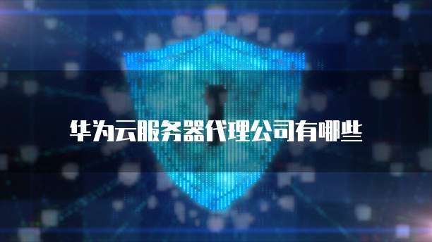华为云服务器代理公司有哪些