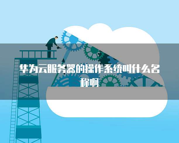 华为云服务器的操作系统叫什么名称啊