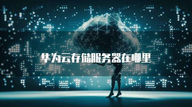 华为云存储服务器在哪里