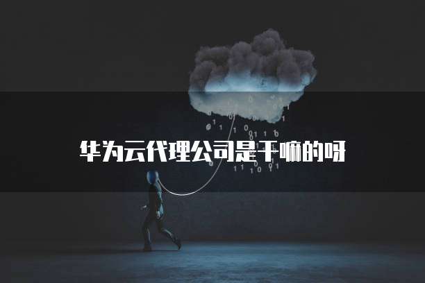 华为云服务器怎么安装win7驱动程序功能
