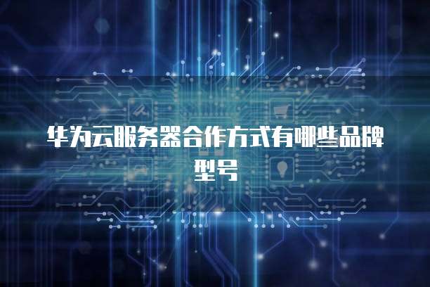 华为云服务器合作方式有哪些品牌型号