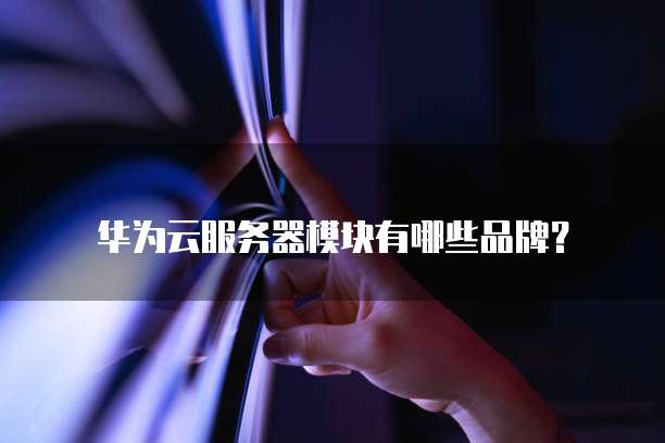 华为云服务器模块有哪些品牌?