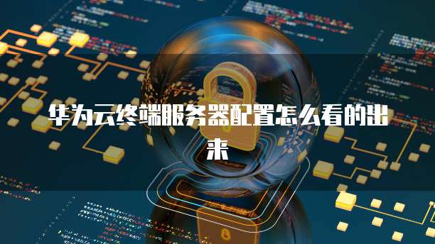 华为云终端服务器配置怎么看的出来
