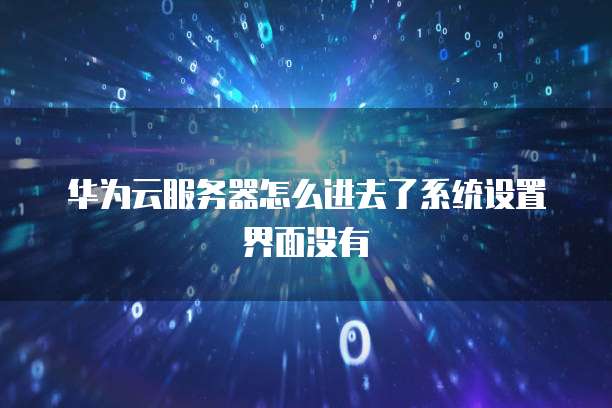 华为云服务器怎么进去了系统设置界面没有