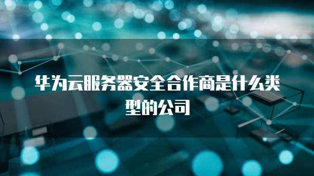 华为云服务器安全合作商是什么类型的公司