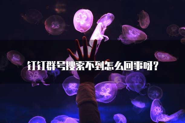 寻找华为云服务器IP