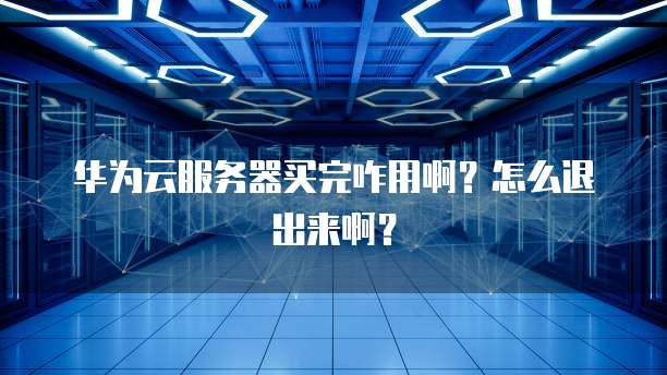 华为云服务器买完咋用啊？怎么退出来啊？