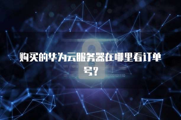 购买的华为云服务器在哪里看订单号？