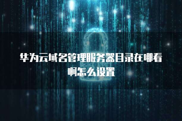 华为云域名管理服务器目录在哪看啊怎么设置