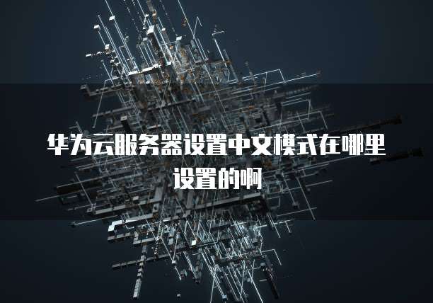 华为云服务器设置中文模式在哪里设置的啊