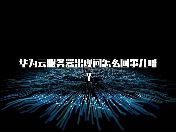 华为云服务器出现问怎么回事儿呀?