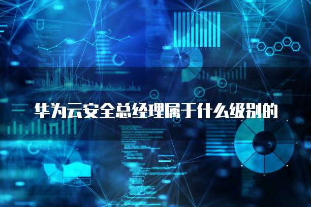 华为云安全总经理属于什么级别的