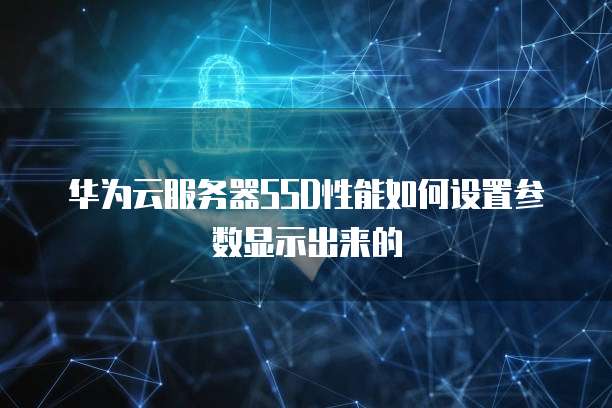 华为云服务器SSD性能如何设置参数显示出来的