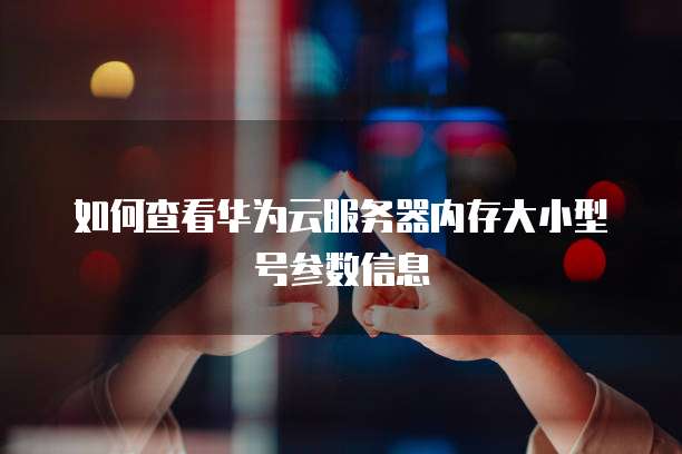 如何购买华为云服务器上网功能