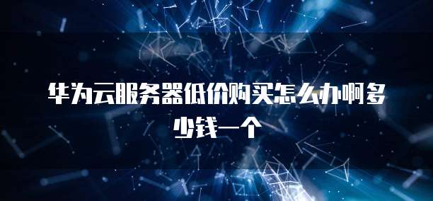 华为云服务器低价购买怎么办啊多少钱一个