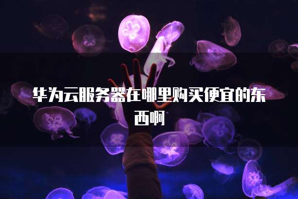华为云服务器在哪里购买便宜的东西啊