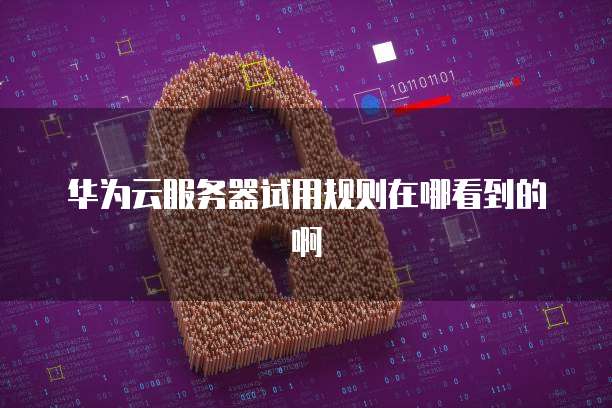 华为云服务器试用规则在哪看到的啊