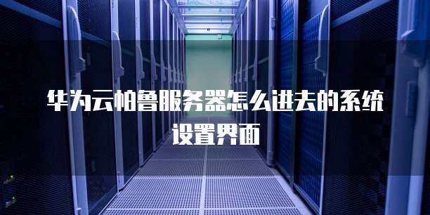 华为云帕鲁服务器怎么进去的系统设置界面