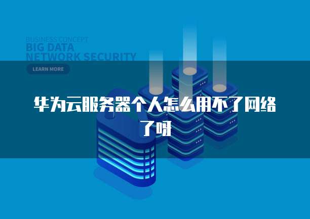 华为云服务器个人怎么用不了网络了呀