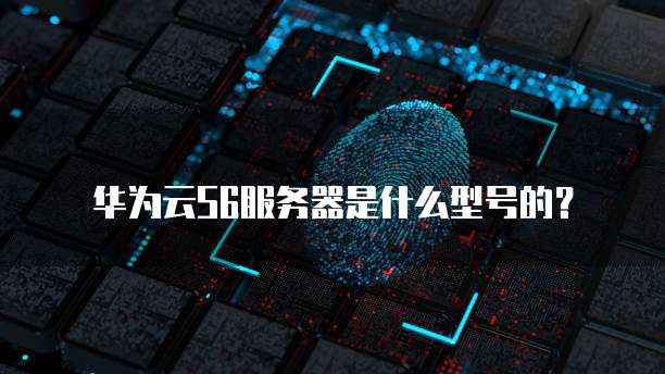 华为云S6服务器是什么型号的？