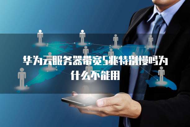 华为云服务器带宽5兆特别慢吗为什么不能用