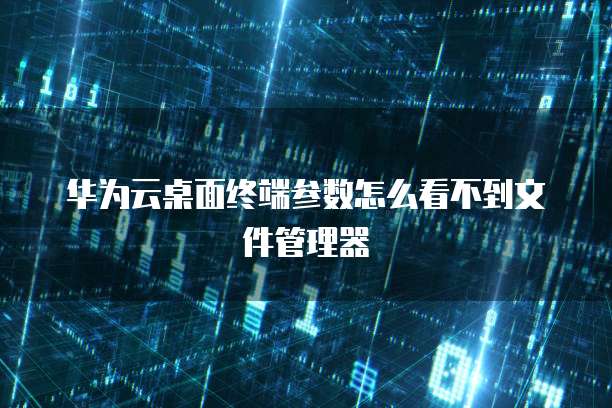 华为云桌面终端参数怎么看不到文件管理器