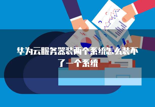 华为云服务器装两个系统怎么装不了一个系统