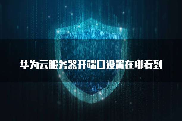 华为云服务器开端口设置在哪看到