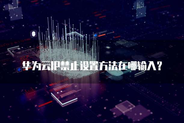 华为云IP禁止设置方法在哪输入？