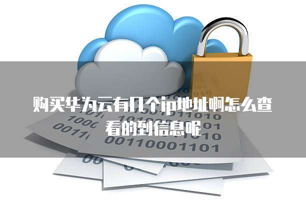 购买华为云有几个ip地址啊怎么查看的到信息呢