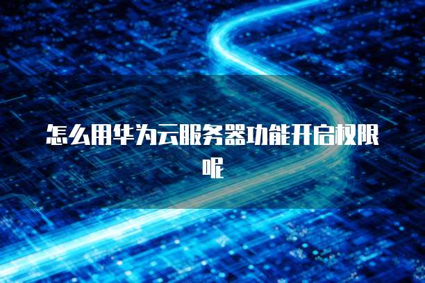 怎么用华为云服务器功能开启权限呢