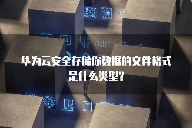 华为云安全存储你数据的文件格式是什么类型?