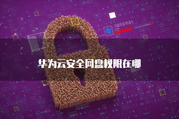 华为云安全网盘权限在哪
