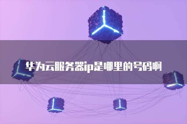 华为云服务器ip是哪里的号码啊