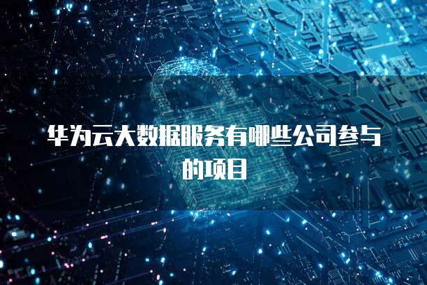 华为云大数据服务有哪些公司参与的项目