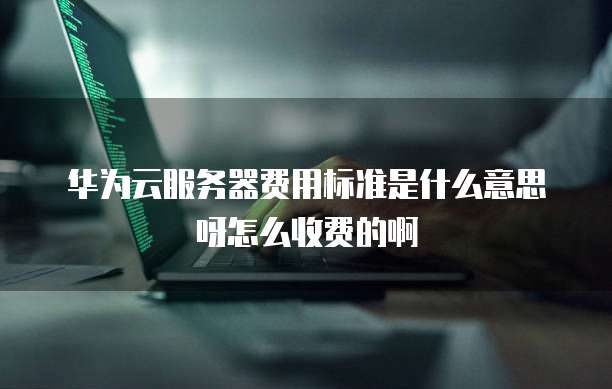 华为云服务器费用标准是什么意思呀怎么收费的啊