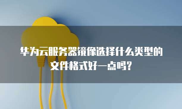 华为云服务器镜像选择什么类型的文件格式好一点吗？