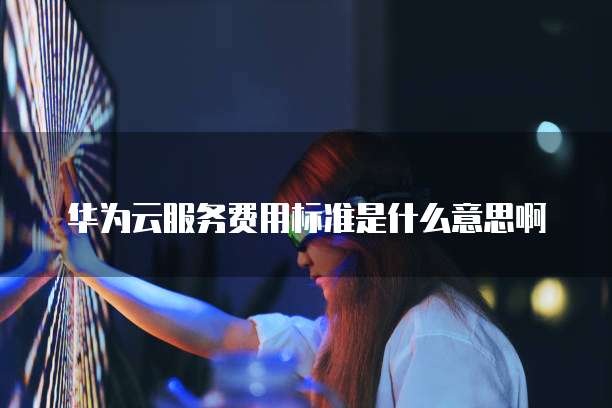 华为云服务费用标准是什么意思啊
