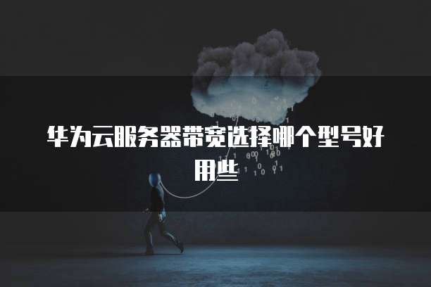 华为云服务器带宽选择哪个型号好用些