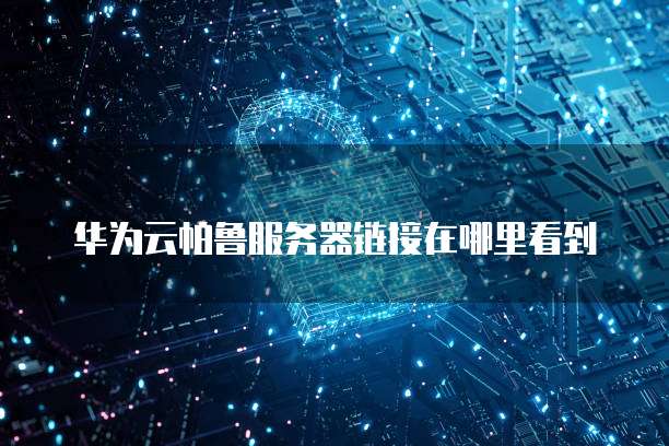 华为云帕鲁服务器链接在哪里看到
